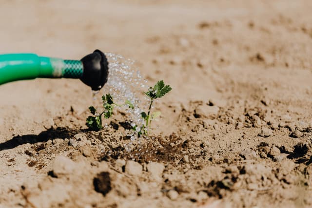 Irrigation Systems